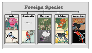 Foreign Species Blog